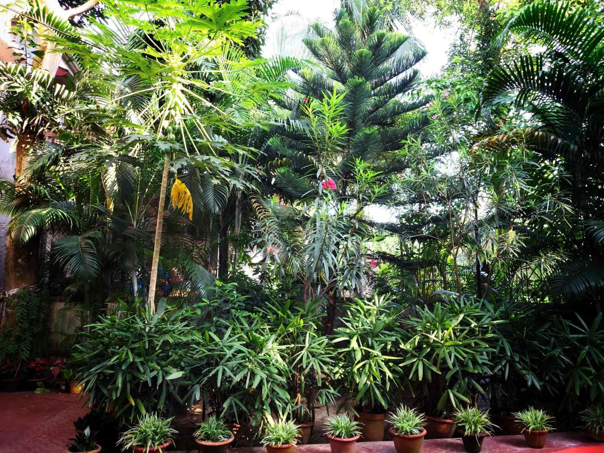 Chaiti Eco Homestay- Santiniketan Bolpur Exterior foto